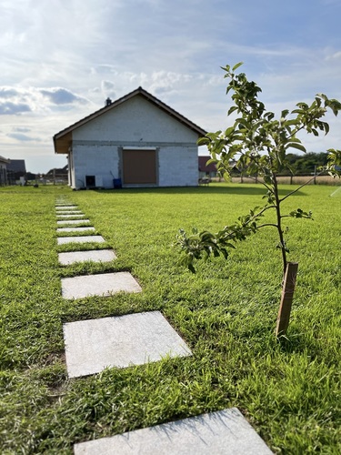 Ogród przydomowy - pomysły na aranżację przestrzeni na palenisko, patio i nie tylko